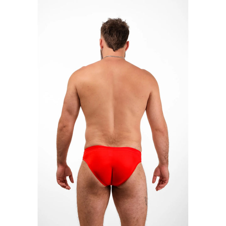 Shoreline Brief