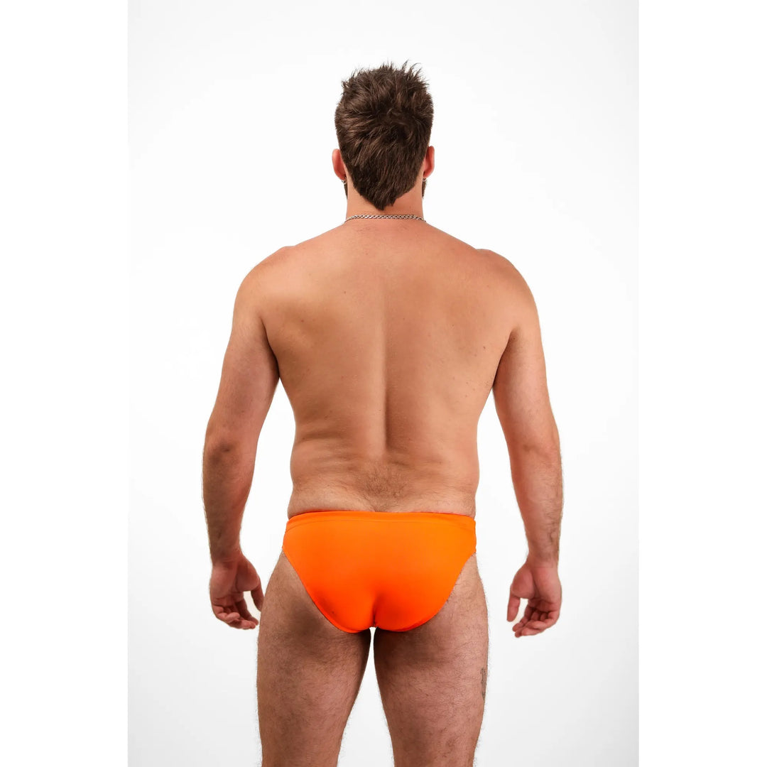 Shoreline Brief