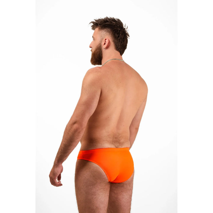 Shoreline Brief