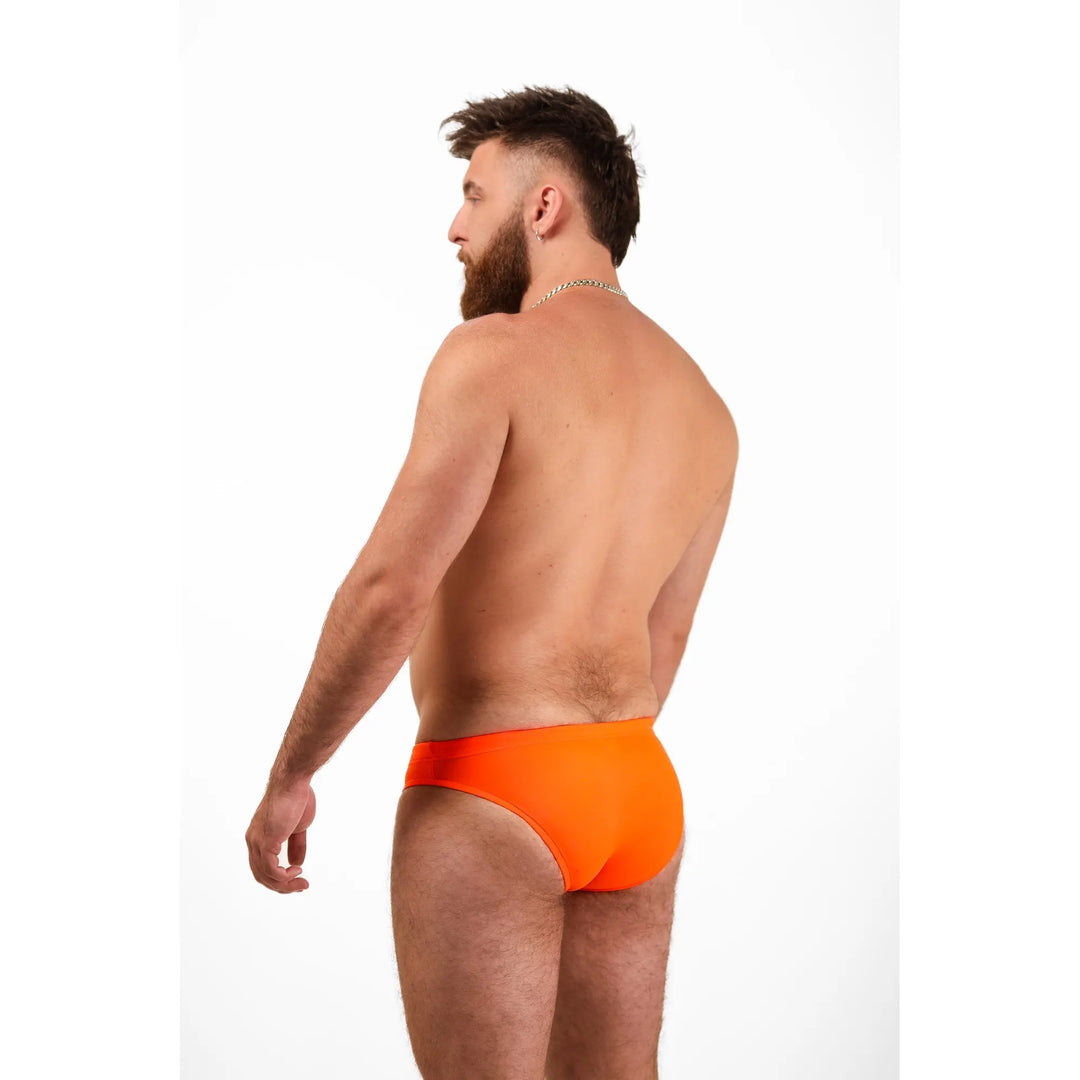 Shoreline Brief