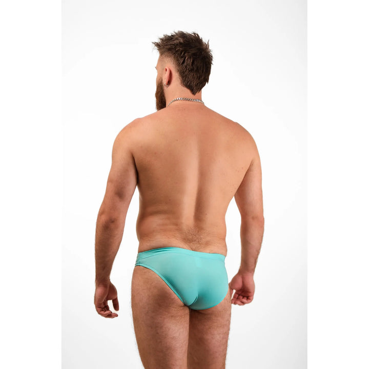 Shoreline Brief
