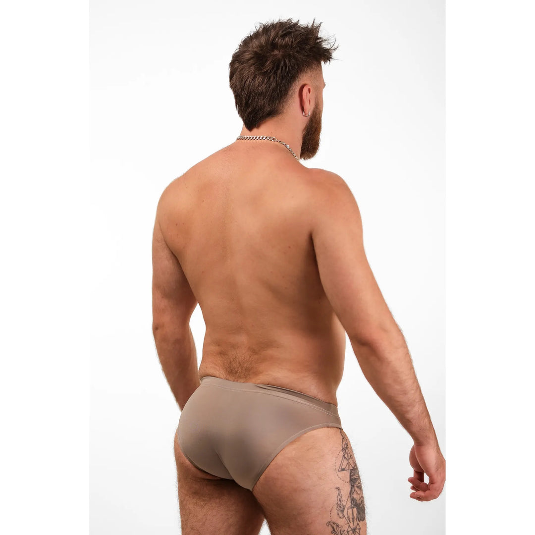 Shoreline Brief