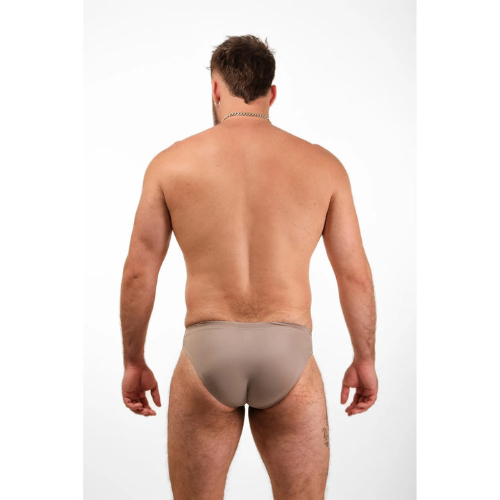 Shoreline Brief