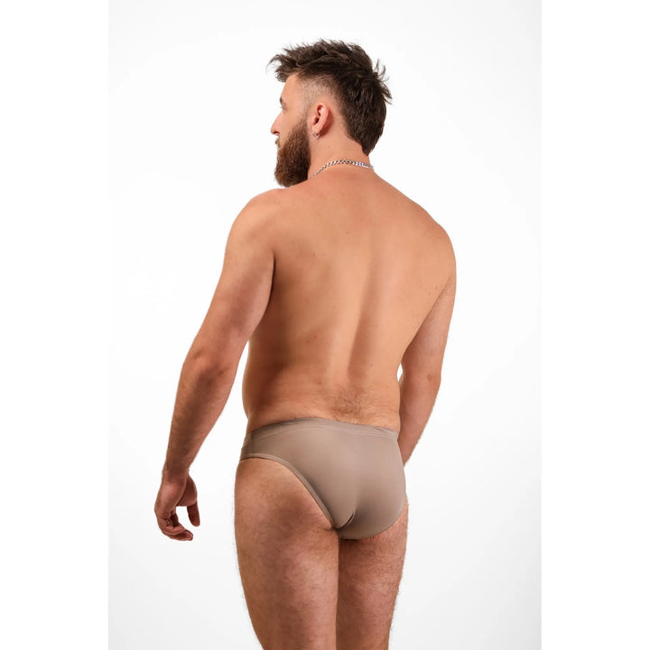 Shoreline Brief
