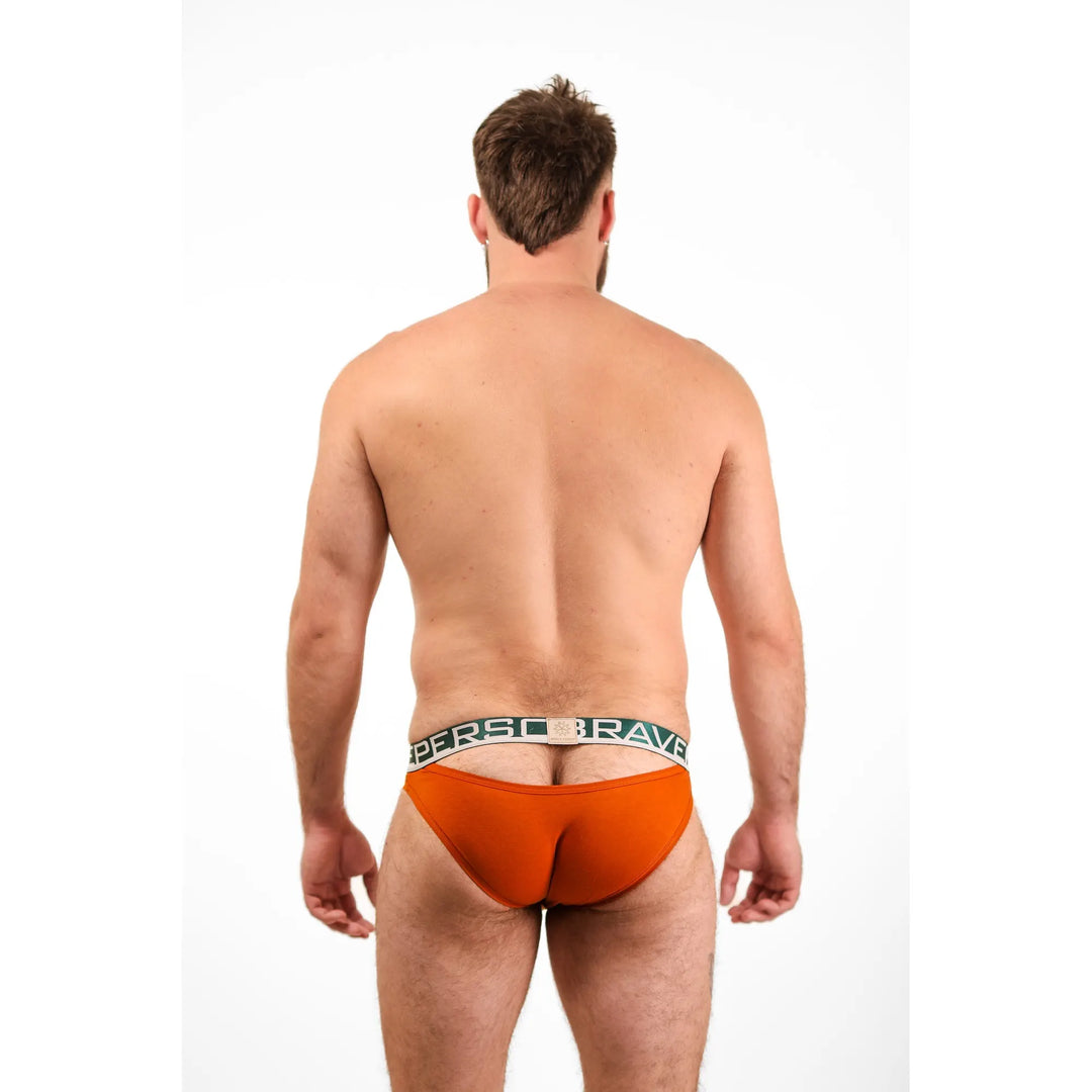 Reveal Brief