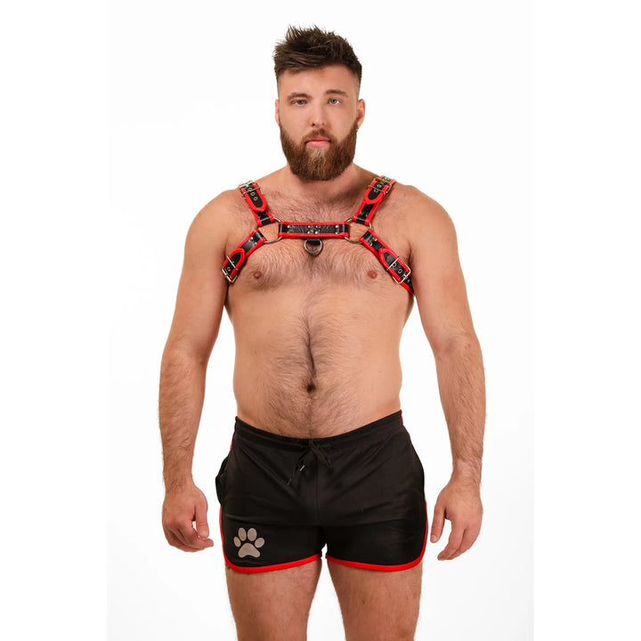 Big Daddy Red Leather Harness