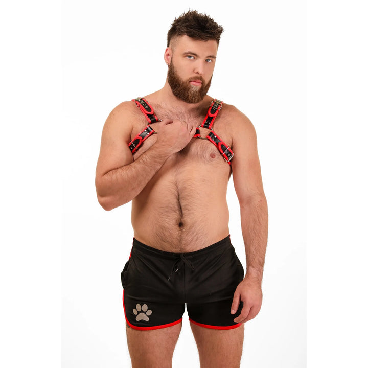 Big Daddy Red Leather Harness