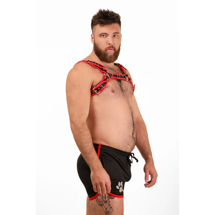 Big Daddy Red Leather Harness